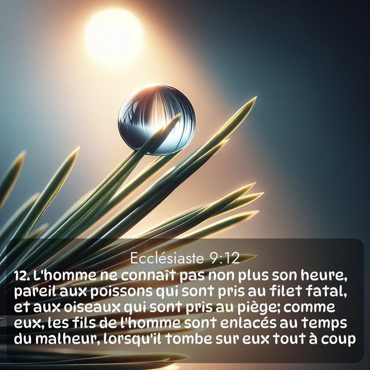 image nature avec verset biblique de la Bible