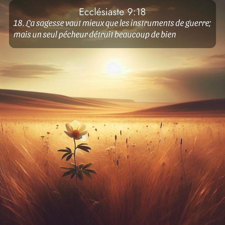 Segond Ecclésiaste 9:18