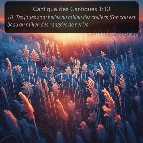 Segond Cantique des Cantiques  ; image nature: image avec le verset biblique :Tes joues sont belles au milieu des colliers, Ton cou est beau au milieu des rangées de perles. ;  ; 1:10