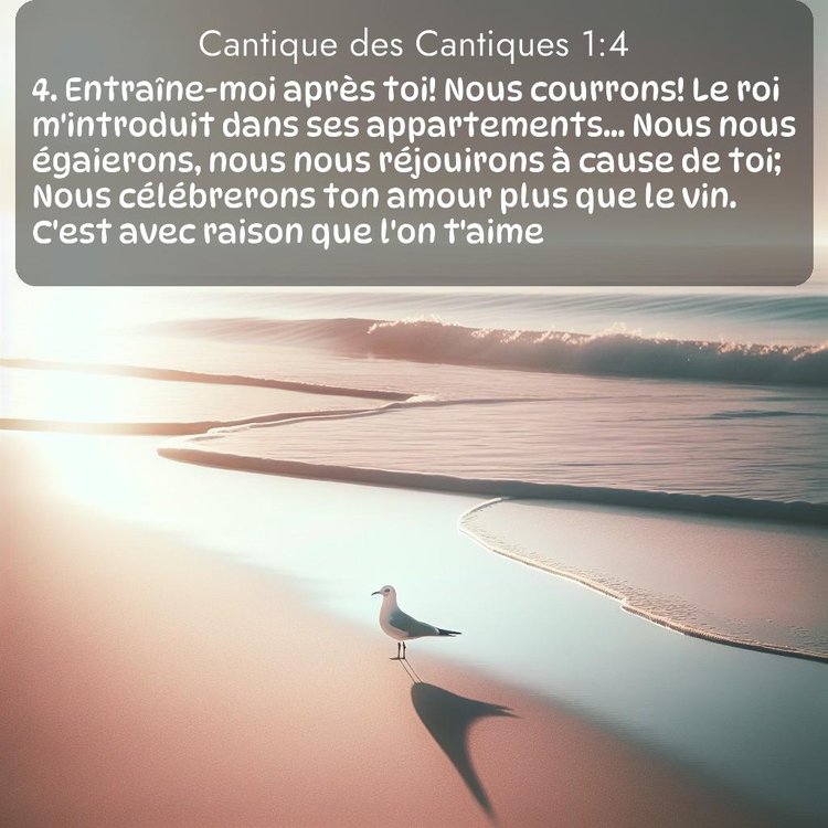 Segond Cantique des Cantiques 1:4