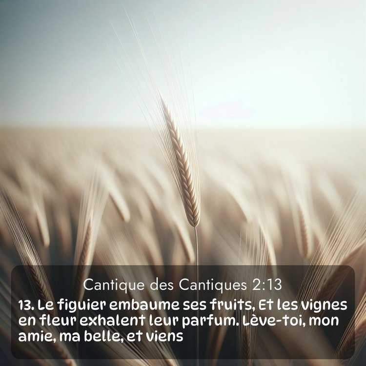 Segond Cantique des Cantiques 2:13