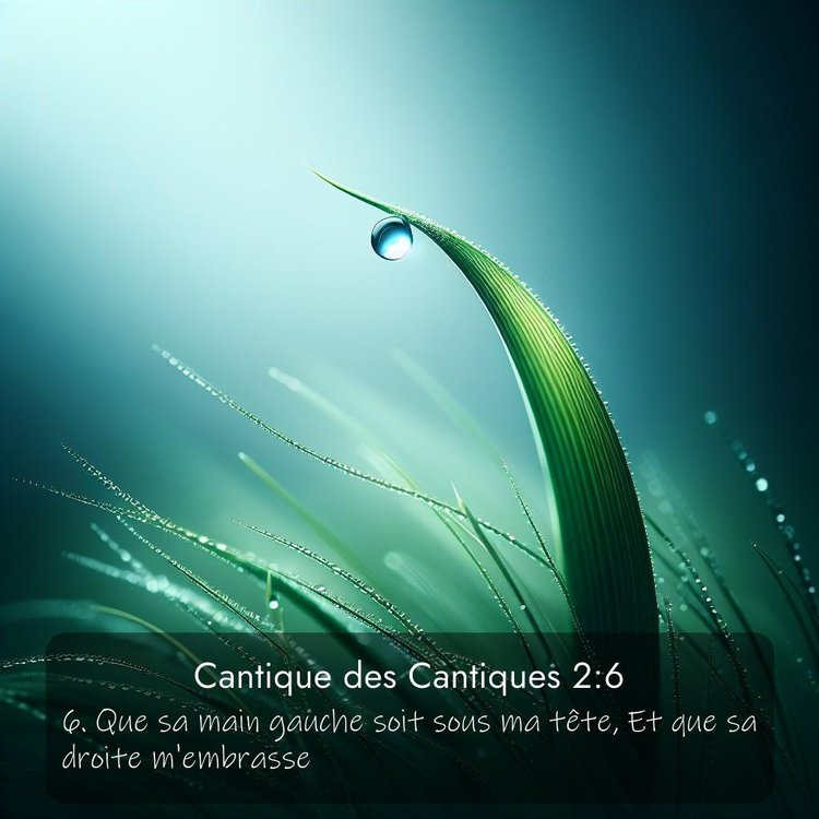 Segond Cantique des Cantiques 2:6