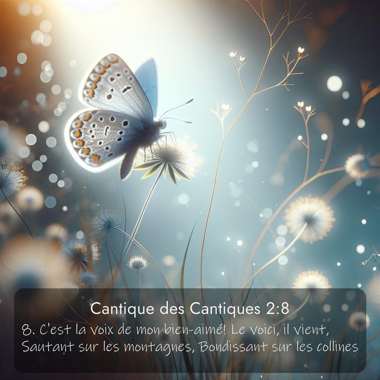 Segond Cantique des Cantiques 2:8