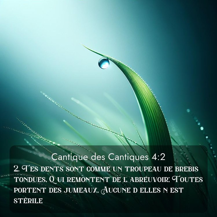 image nature avec verset biblique de la Bible
