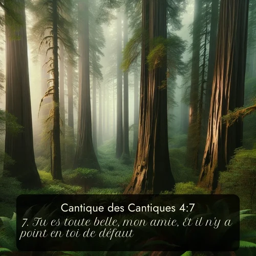Segond Cantique des Cantiques  ; image nature: image avec le verset biblique :Tu es toute belle, mon amie, Et il n&#039;y a point en toi de défaut. ;  ; 4:7