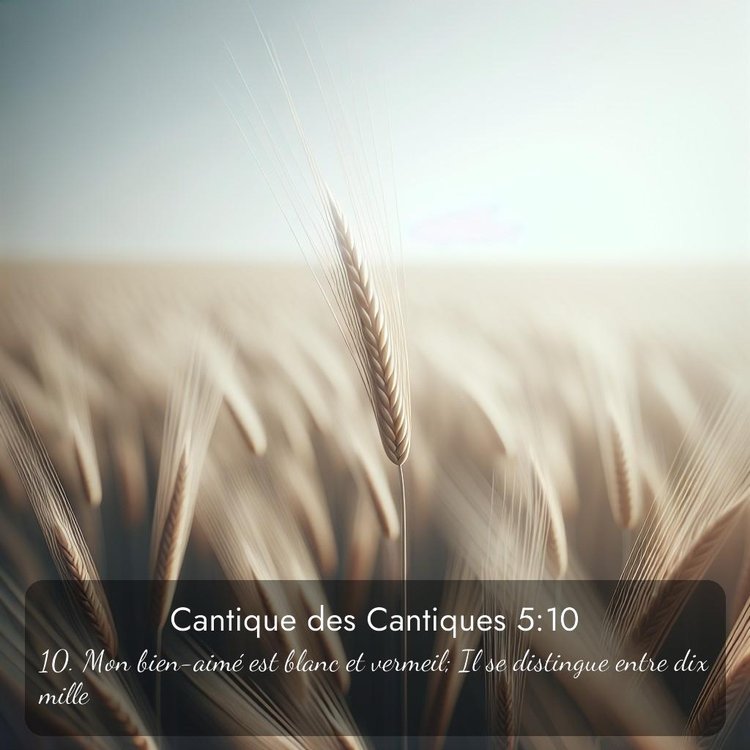 image nature avec verset biblique de la Bible
