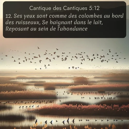 Segond Cantique des Cantiques  ; image nature: image avec le verset biblique :Ses yeux sont comme des colombes au bord des ruisseaux, Se baignant dans le lait, Reposant au sein de l&#039;abondance. ;  ; 5:12