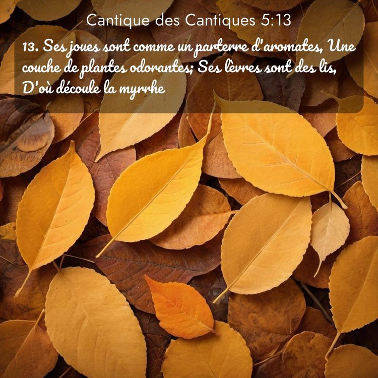 image nature avec verset biblique de la Bible