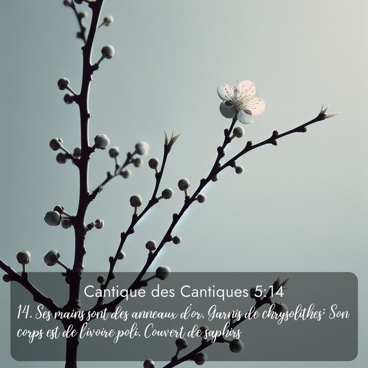 Segond Cantique des Cantiques 5:14