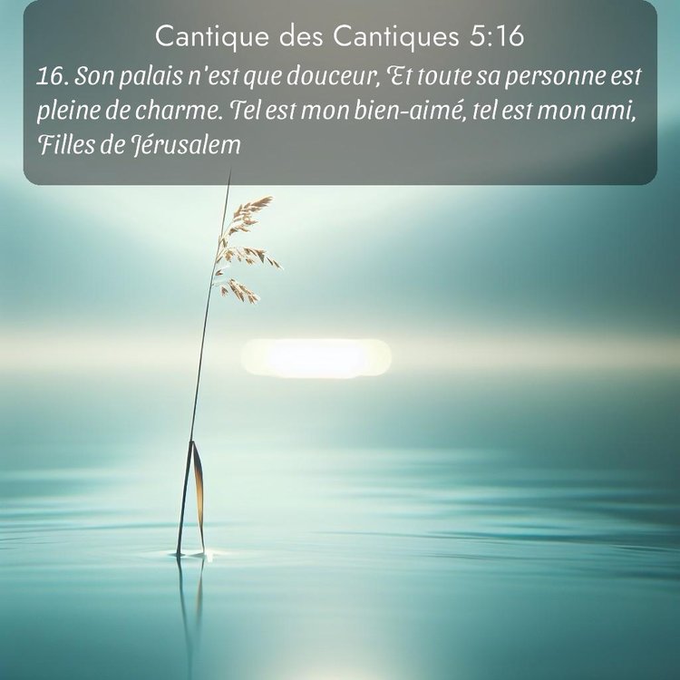image nature avec verset biblique de la Bible