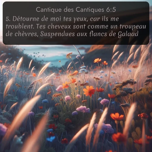 Segond Cantique des Cantiques  ; image nature: image avec le verset biblique :Détourne de moi tes yeux, car ils me troublent. Tes cheveux sont comme un troupeau de chèvres, Suspendues aux flancs de Galaad. ;  ; 6:5