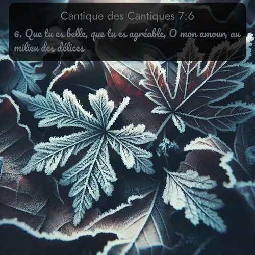 Segond Cantique des Cantiques  ; image nature: image avec le verset biblique :Que tu es belle, que tu es agréable, O mon amour, au milieu des délices! ;  ; 7:6