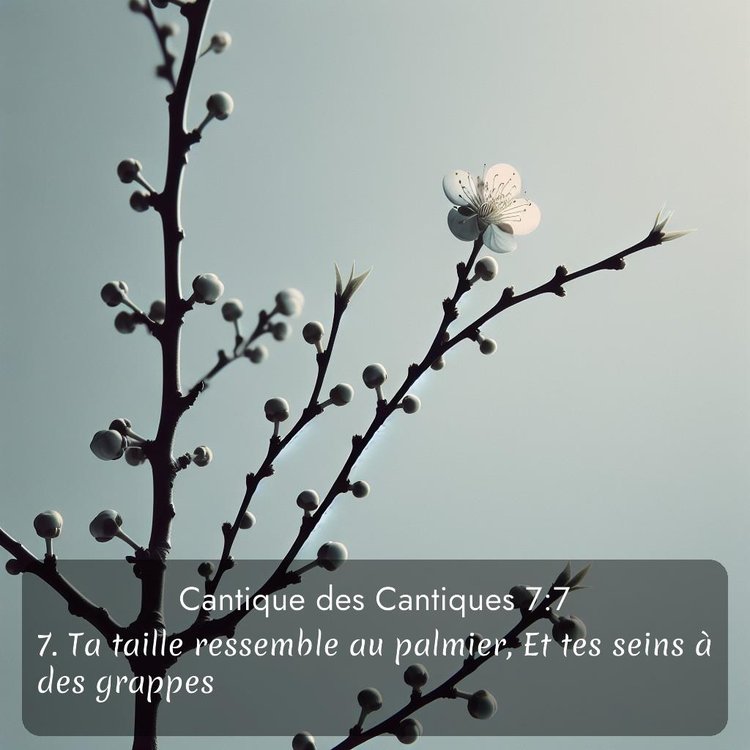 Segond Cantique des Cantiques 7:7