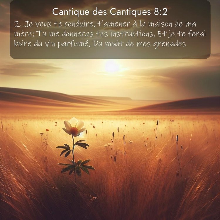 Segond Cantique des Cantiques 8:2