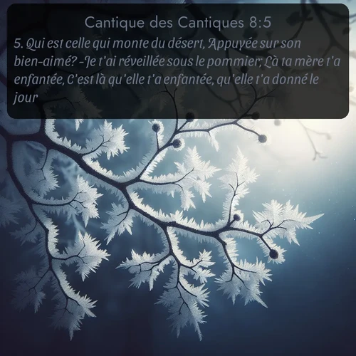Segond Cantique des Cantiques  ; image nature: image avec le verset biblique :Qui est celle qui monte du désert, Appuyée sur son bien-aimé? -Je t&#039;ai réveillée sous le pommier; Là ta mère t&#039;a enfantée, C&#039;est là qu&#039;elle t&#039;a enfantée, qu&#039;elle t&#039;a donné le jour. - ;  ; 8:5
