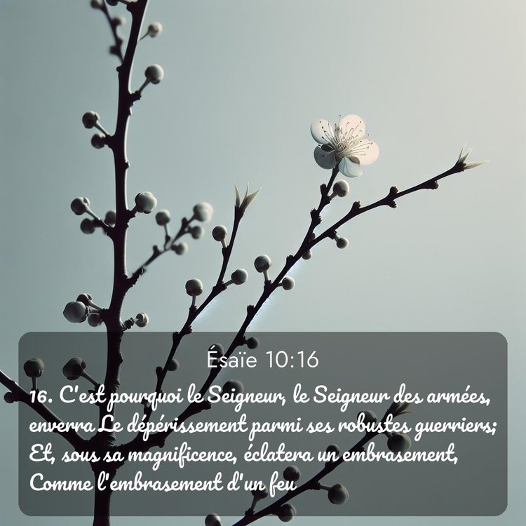 image nature avec verset biblique de la Bible