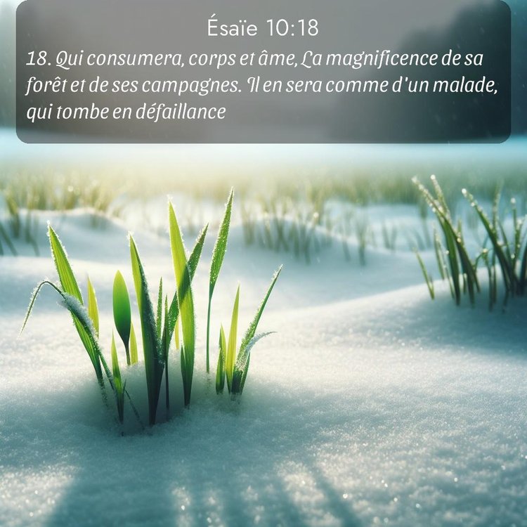 Segond Ésaïe 10:18