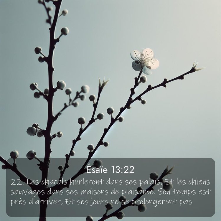 Segond Ésaïe 13:22