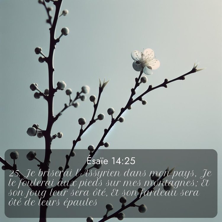 image nature avec verset biblique de la Bible