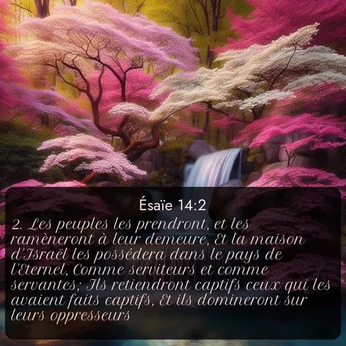 Segond 23 14:2