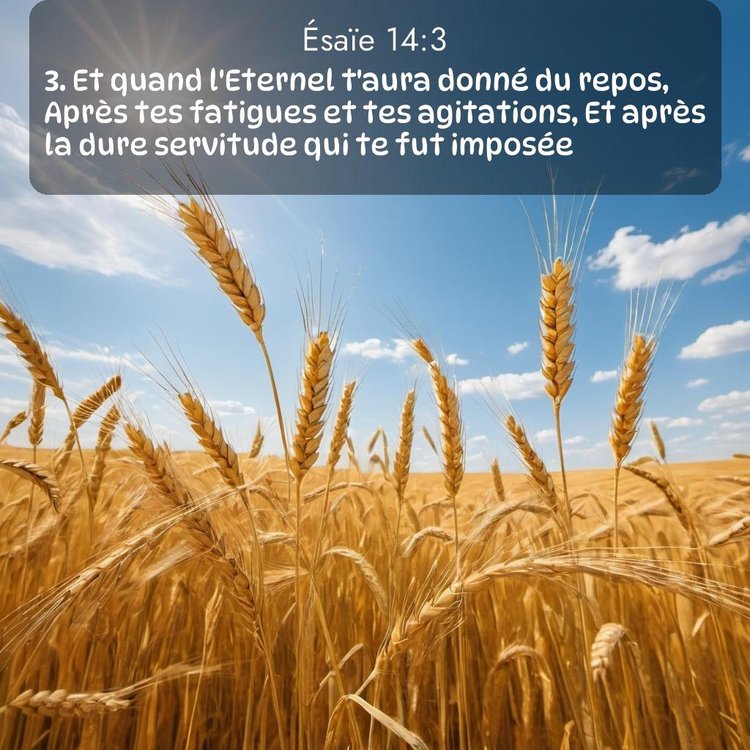 Segond Ésaïe 14:3