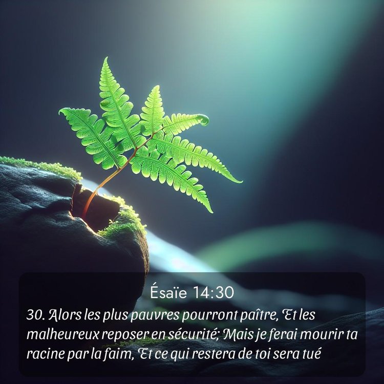 Segond Ésaïe 14:30