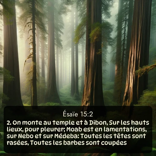 Segond Ésaïe  ; image nature: image avec le verset biblique :On monte au temple et à Dibon, Sur les hauts lieux, pour pleurer; Moab est en lamentations, sur Nebo et sur Médeba: Toutes les têtes sont rasées, Toutes les b</p><p>Lire le verset dans son contexte : <br><a href=