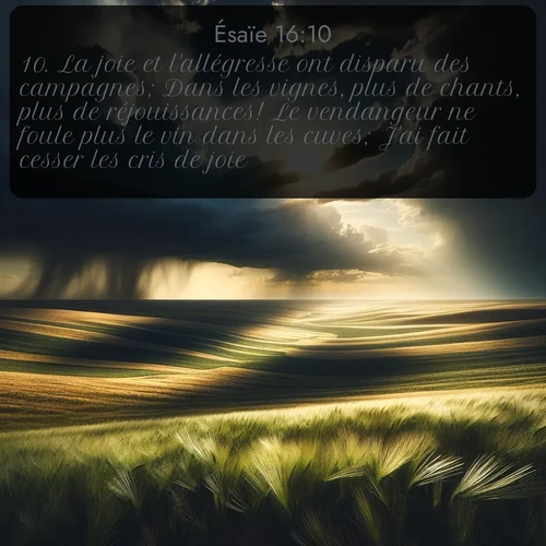 Segond Ésaïe  ; image nature: image avec le verset biblique :La joie et l&#039;allégresse ont disparu des campagnes; Dans les vignes, plus de chants, plus de réjouissances! Le vendangeur ne foule plus le vin dans les cuves; J&#039;ai fait cesser les cris de joie. ;  ; 16:10