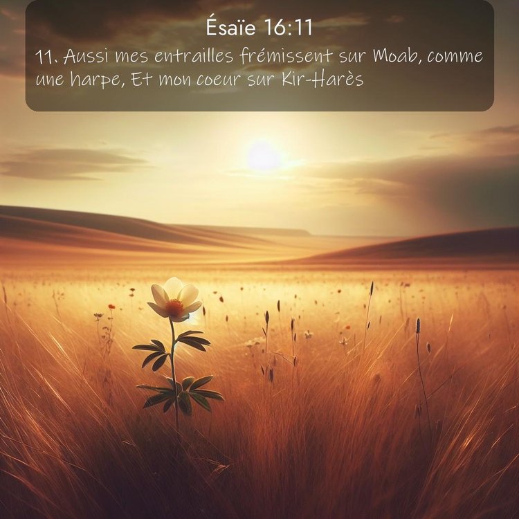 Segond Ésaïe 16:11