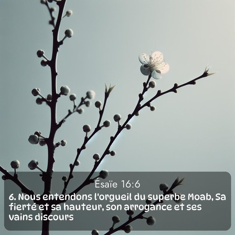 image nature avec verset biblique de la Bible