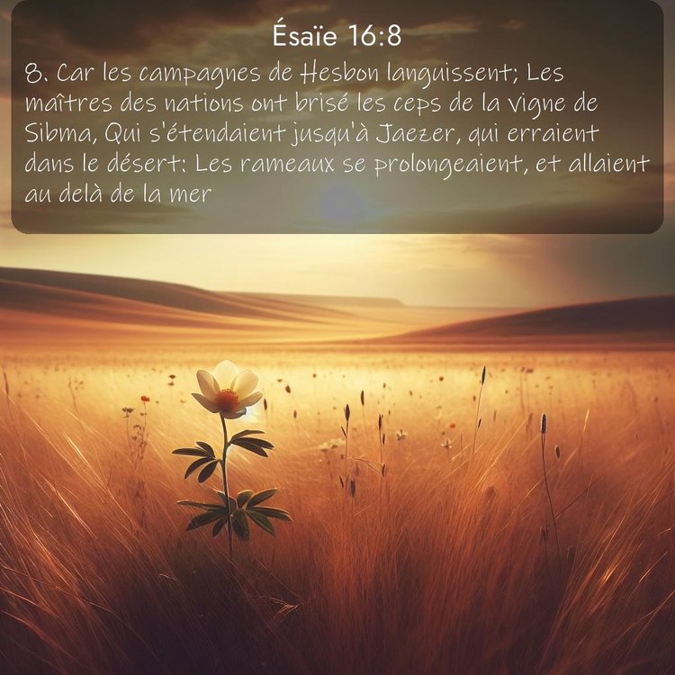 Segond Ésaïe 16:8