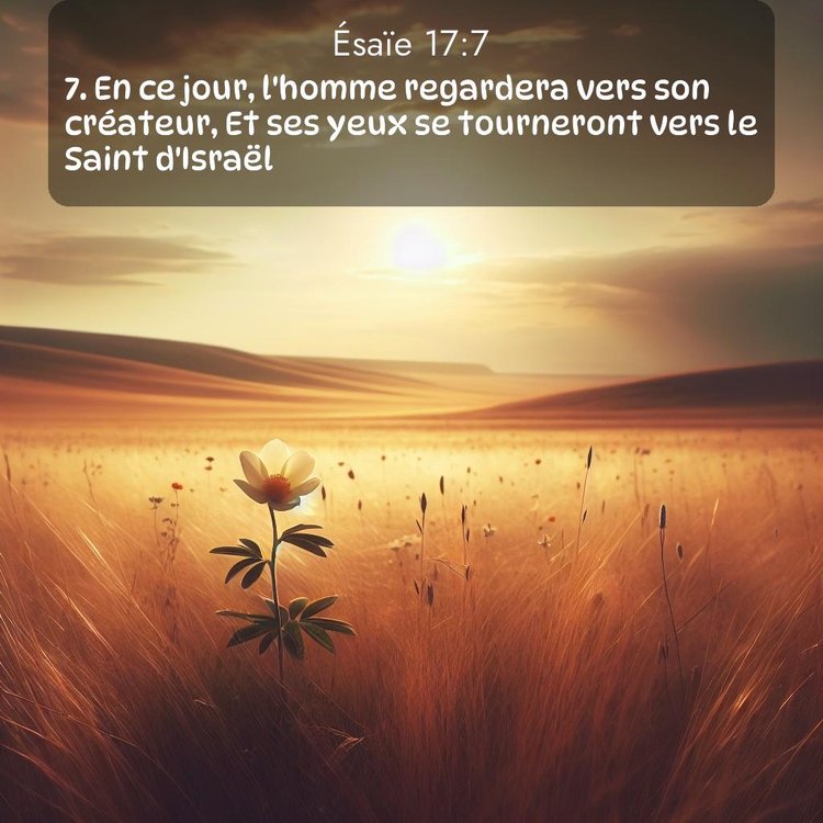 Segond Ésaïe 17:7