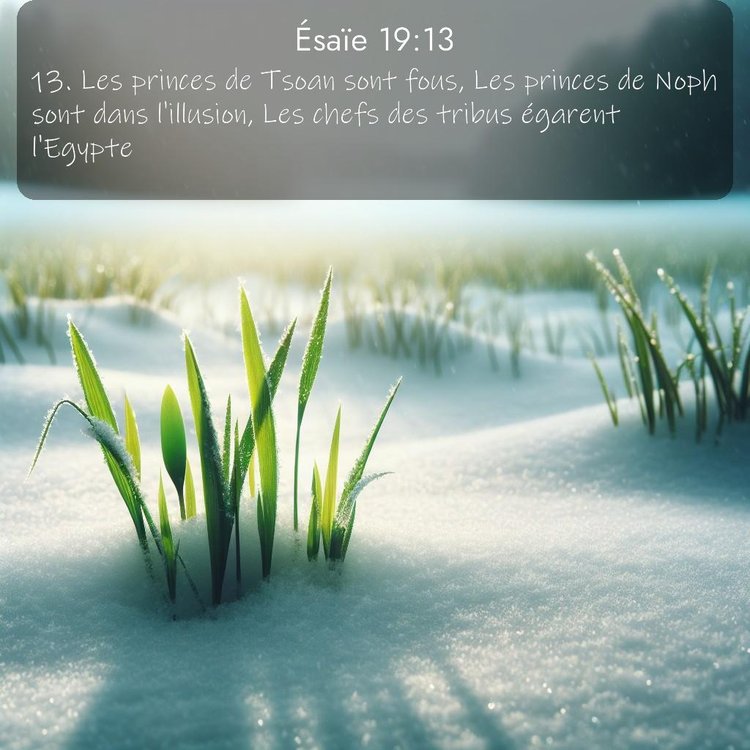 Segond Ésaïe 19:13