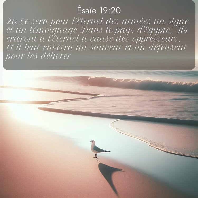 Segond Ésaïe 19:20