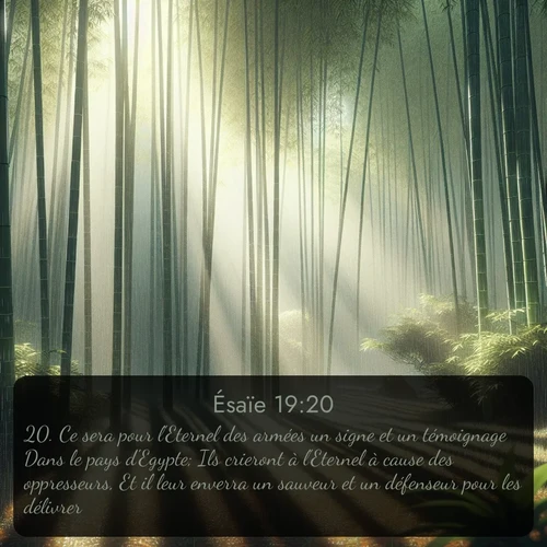 Segond Ésaïe  ; image nature: image avec le verset biblique :Ce sera pour l&#039;Eternel des armées un signe et un témoignage Dans le pays d&#039;Egypte; Ils crieront à l&#039;Eternel à cause des oppresseurs, Et il leur enverra un sauveur et un défenseur pour les délivrer. ;  ; 19:20