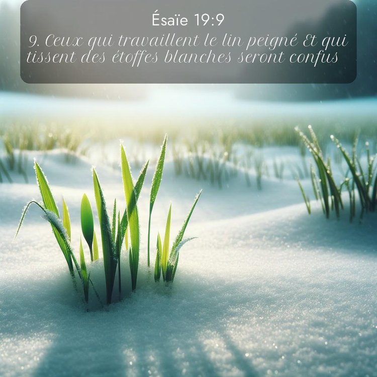 Segond Ésaïe 19:9