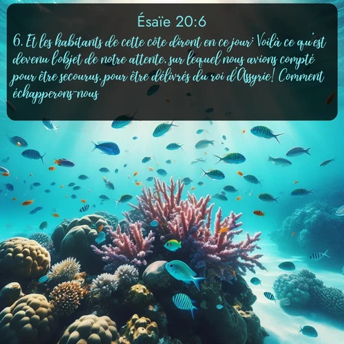 Segond Ésaïe  ; image nature: image avec le verset biblique :Et les habitants de cette côte diront en ce jour: Voilà ce qu&#039;est devenu l&#039;objet de notre attente, sur lequel nous avions compté pour être secourus, pour être délivrés du roi d&#039;Assyrie! Comment échapperons-nous? ;  ; 20:6