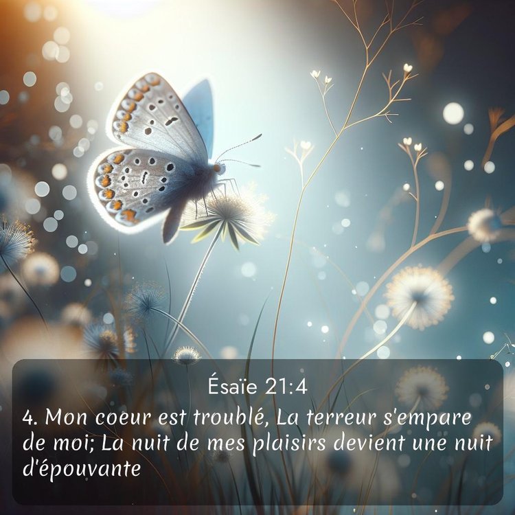 Segond Ésaïe 21:4