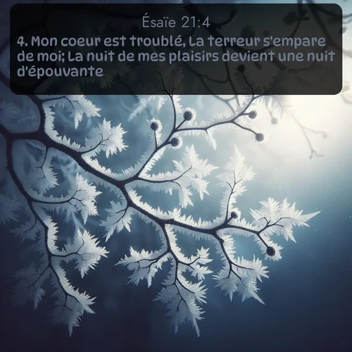 Segond Ésaïe  ; image nature: image avec le verset biblique :Mon coeur est troublé, La terreur s&#039;empare de moi; La nuit de mes plaisirs devient une nuit d&#039;épouvante. ;  ; 21:4