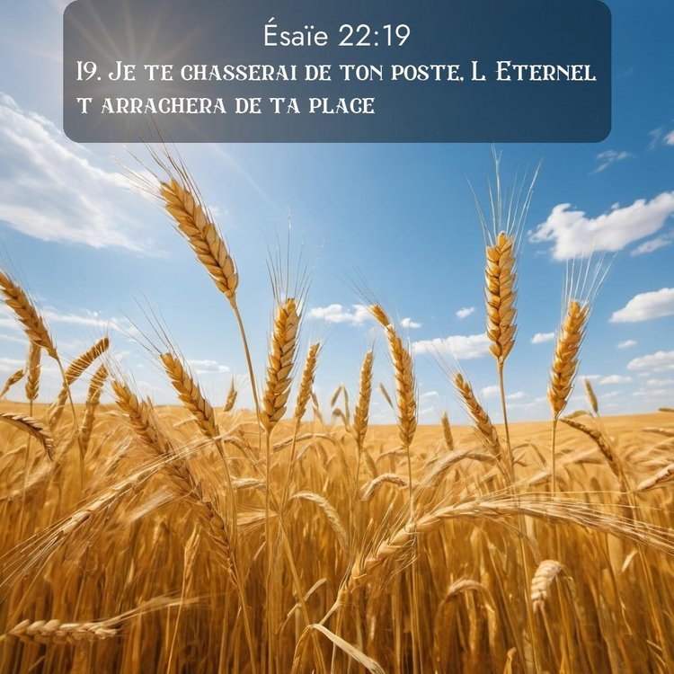 image nature avec verset biblique de la Bible