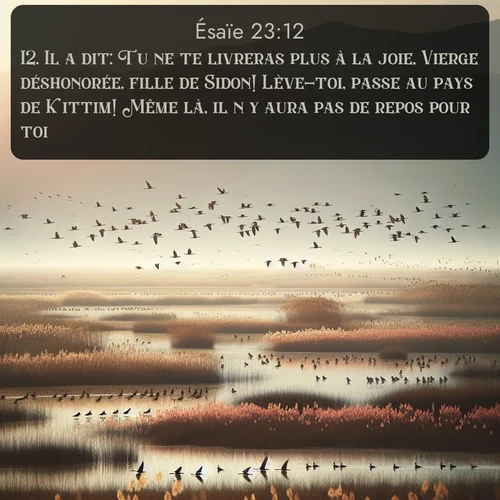 Segond Ésaïe  ; image nature: image avec le verset biblique :Il a dit: Tu ne te livreras plus à la joie, Vierge déshonorée, fille de Sidon! Lève-toi, passe au pays de Kittim! Même là, il n&#039;y aura pas de repos pour toi. ;  ; 23:12