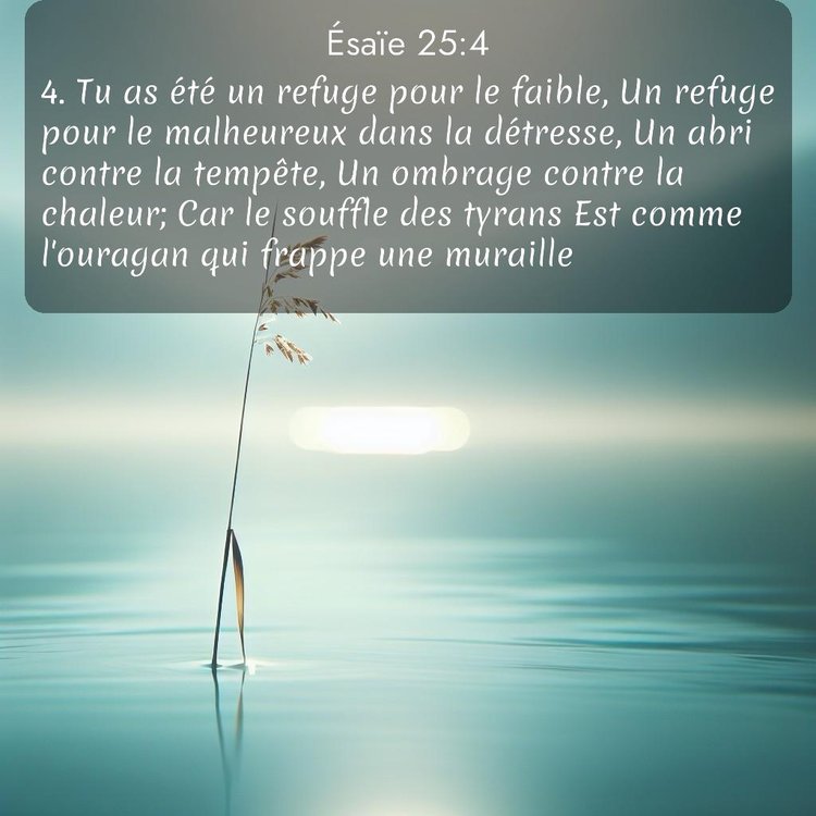 Segond Ésaïe 25:4