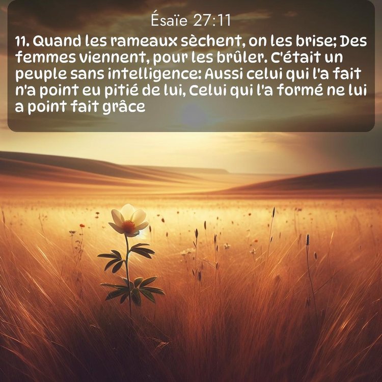 Segond Ésaïe 27:11