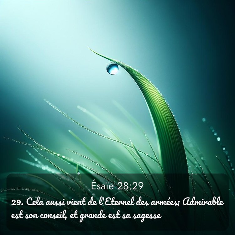 image nature avec verset biblique de la Bible
