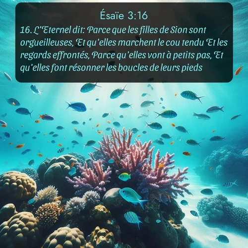 Segond Ésaïe  ; image nature: image avec le verset biblique :L&#039;Eternel dit: Parce que les filles de Sion sont orgueilleuses, Et qu&#039;elles marchent le cou tendu Et les regards effrontés, Parce qu&#039;elles vont à petits pas, Et qu&#039;elles font résonner les boucles de leurs pieds, ;  ; 3:16