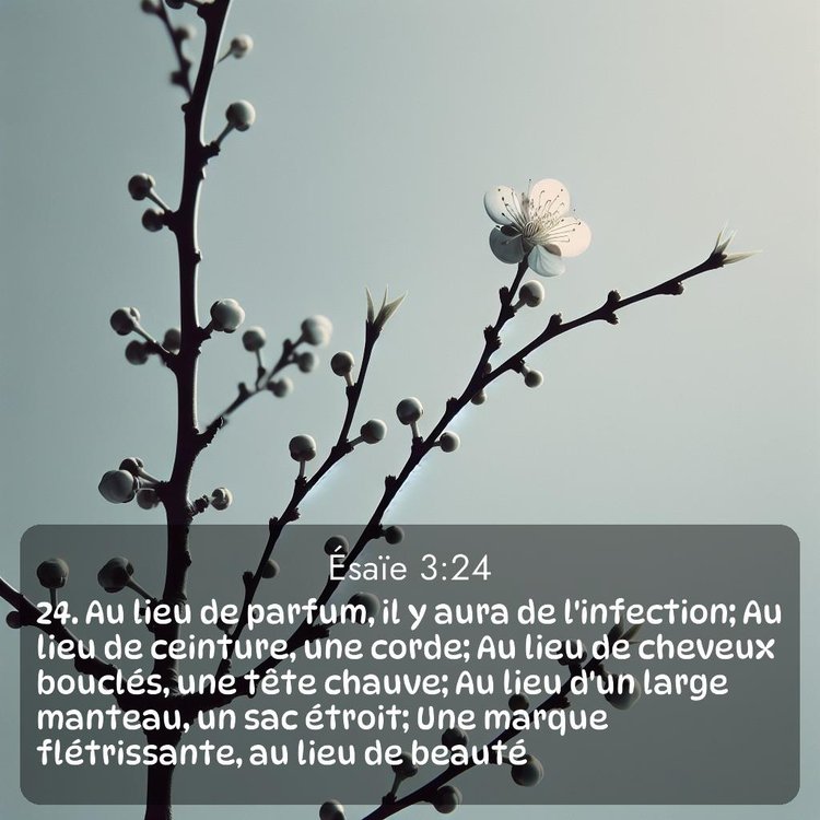 image nature avec verset biblique de la Bible