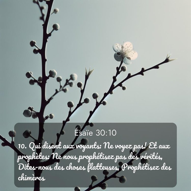 image nature avec verset biblique de la Bible