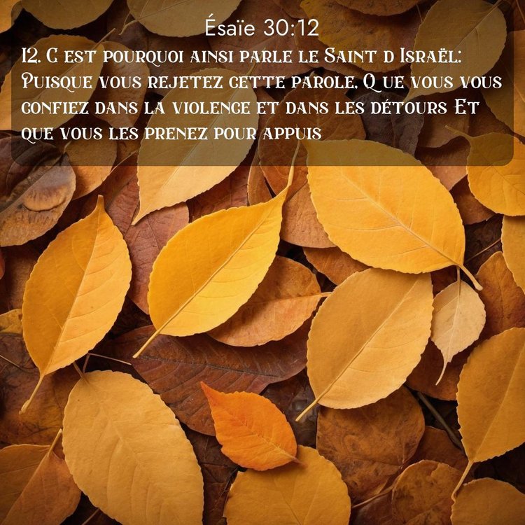 Segond Ésaïe 30:12