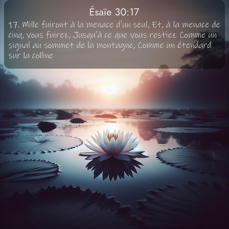 Segond Ésaïe 30:17