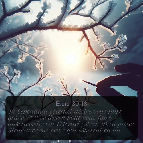 Segond Ésaïe  ; image nature: image avec le verset biblique :Cependant l&#039;Eternel désire vous faire grâce, Et il se lèvera pour vous faire miséricorde; Car l&#039;Eternel est un Dieu juste: Heureux tous ceux qui espèrent en lui! ;  ; 30:18